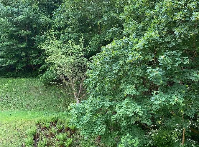 Grossherzoegliches Jaegerhaus Apartman